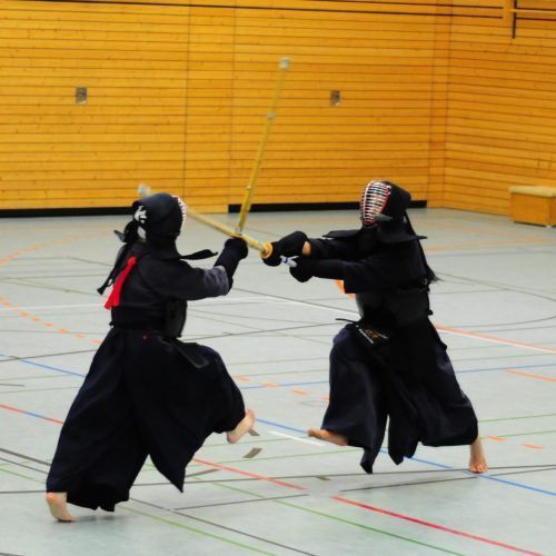 https://fmjudo.es/wp-content/uploads/2021/02/bernd-viefhues-475979-unsplash-1024x1024-1-500x500.jpg