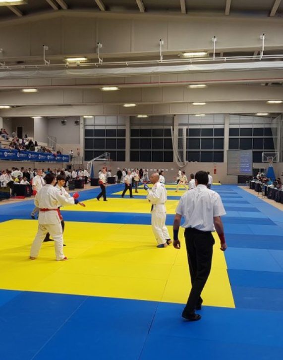 jiu jitsu