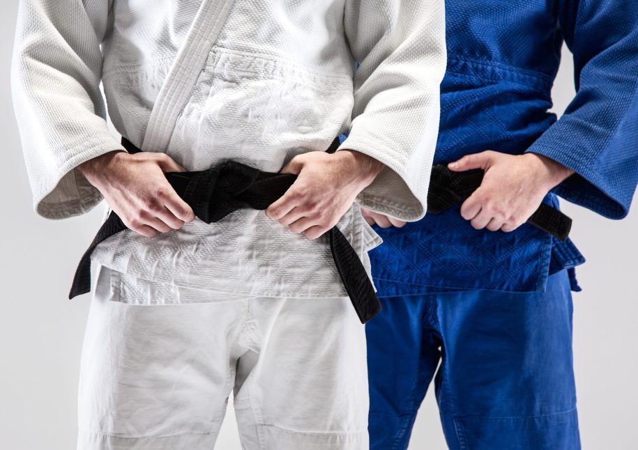 https://fmjudo.es/wp-content/uploads/2023/10/dos-luchadores-judokas-posando-scaled-e1698388706145-915x646.jpg