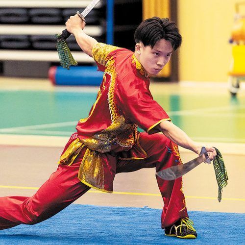 https://fmjudo.es/wp-content/uploads/2023/11/wushu_2-500x500.jpg