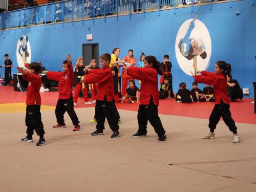 X Torneo infantil Wushu (27/01/2024)