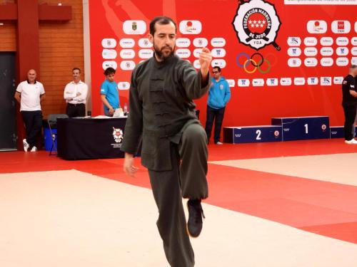 VIII Torneo de Taiji y estilos internos (27/01/2024)