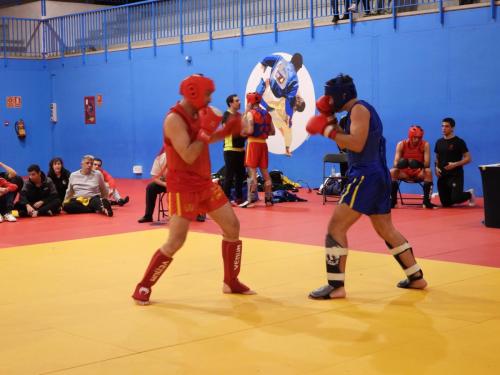 Torneo Sanda y Qingda (27/01/2024)