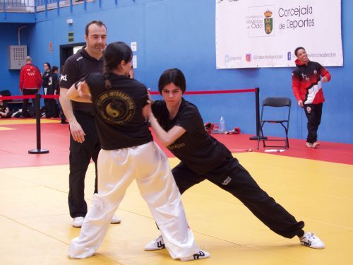 XI Open TJ y Estilos Internos