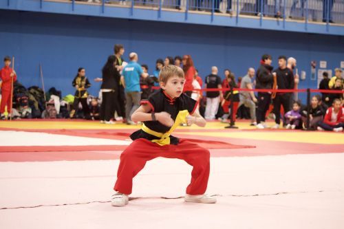 XI Torneo Infantil de Wushu 2025