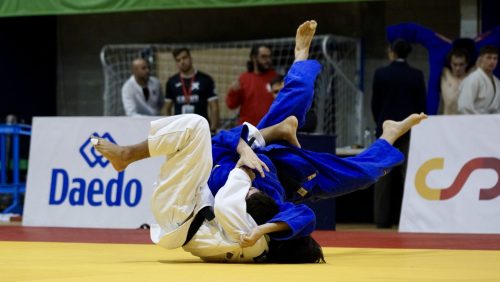 IMG 3251