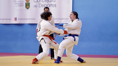 IMG 3597