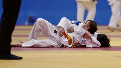IMG 7382