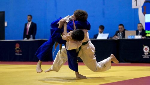 IMG 7458