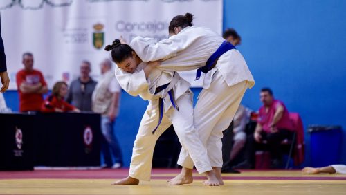 IMG 7492