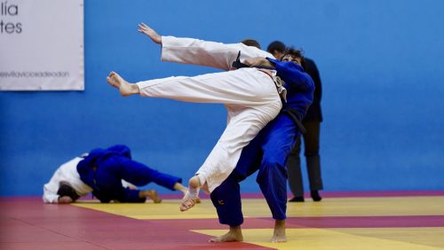 IMG 9675